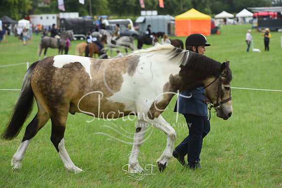 113448-DSC_1073