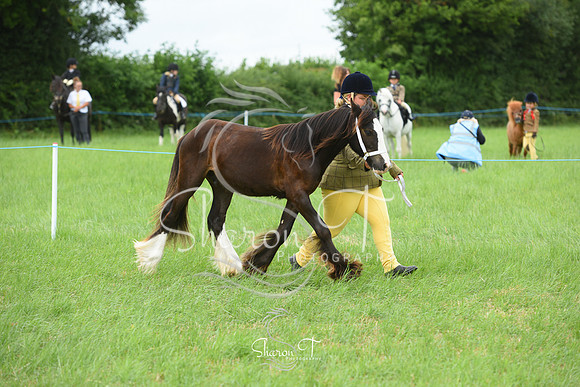 114804-DSC_1118