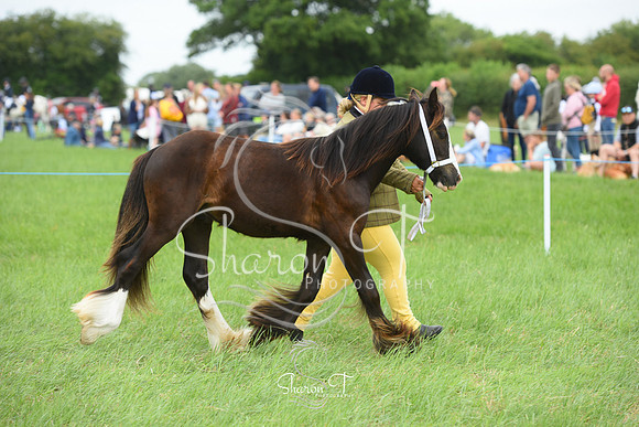 114811-DSC_1119