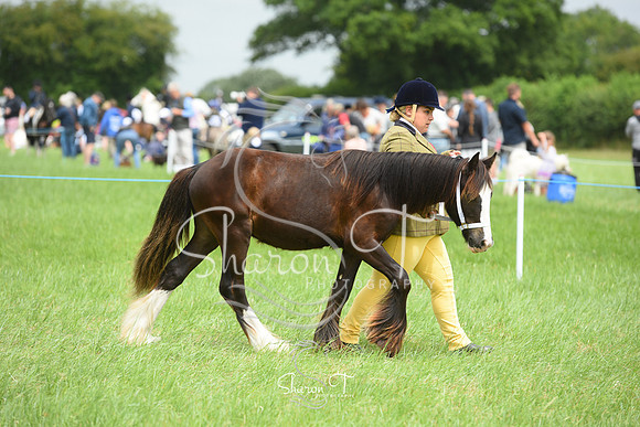 124344-DSC_1318