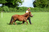 090436-DSC_0774