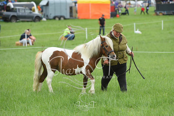 112403-DSC_1054