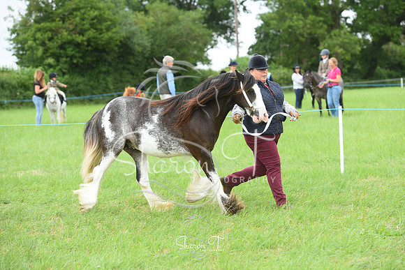 114922-DSC_1128