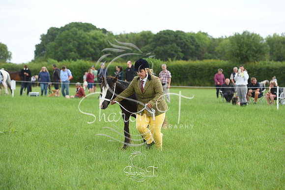 104308-DSC_0957