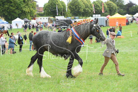 125914-DSC_1366