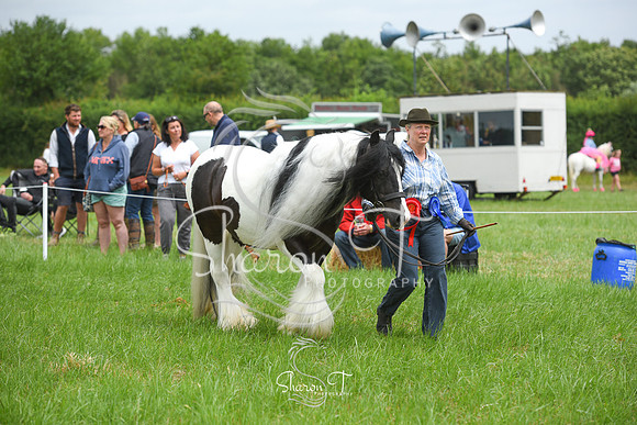 124236-DSC_1307