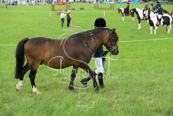 104436-DSC_0963