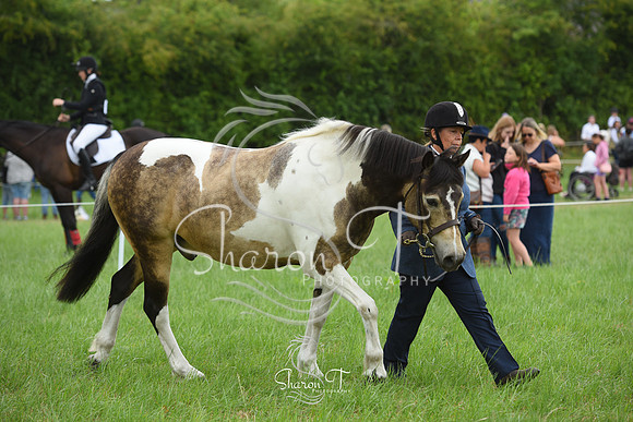 113442-DSC_1072