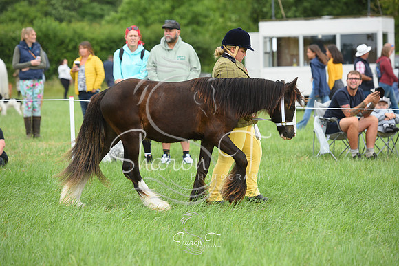 114620-DSC_1113