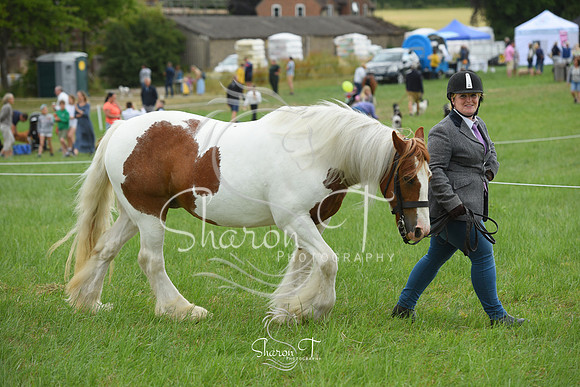 113456-DSC_1076