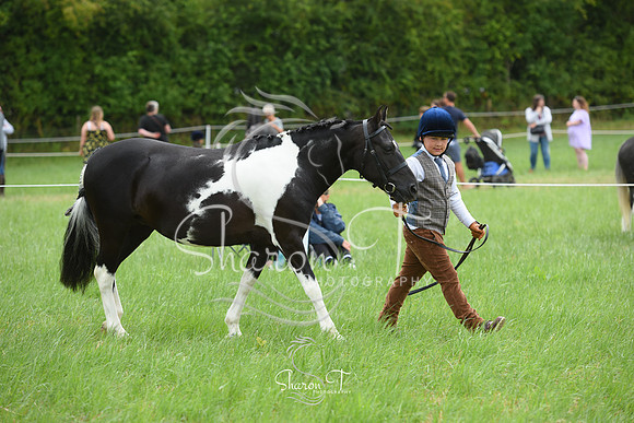 105934-DSC_0987