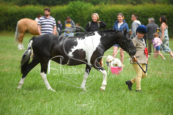 124336-DSC_1317