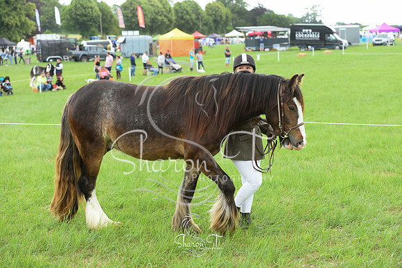 104428-DSC_0961