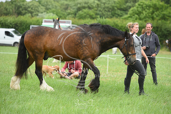 123404-DSC_1272