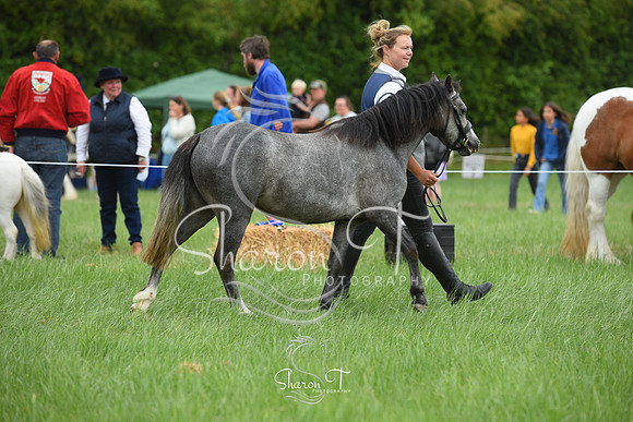 114604-DSC_1111