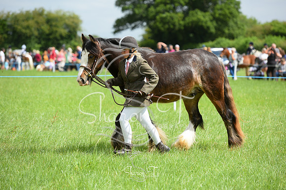 103841-DSC_0936