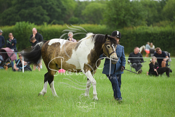 104216-DSC_0952