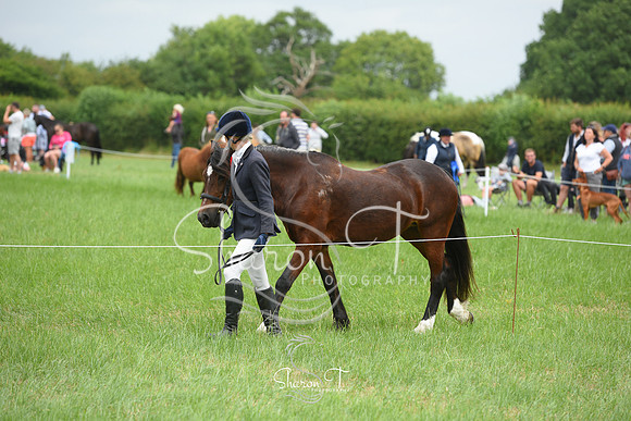 124156-DSC_1304