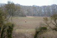 DSC_1171