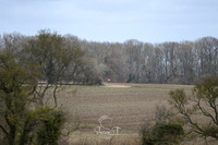 DSC_1167