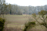 DSC_1174