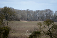 DSC_1169