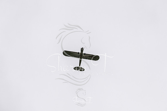 STP_3275