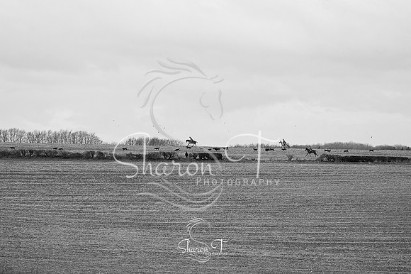 STP_3376