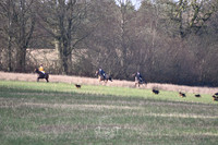 DSC_0698