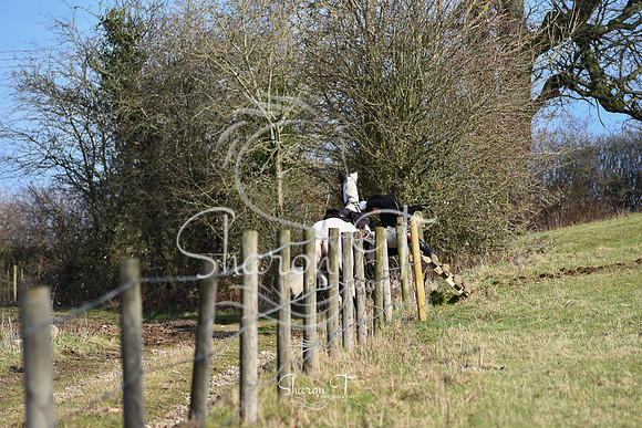 DSC_0885