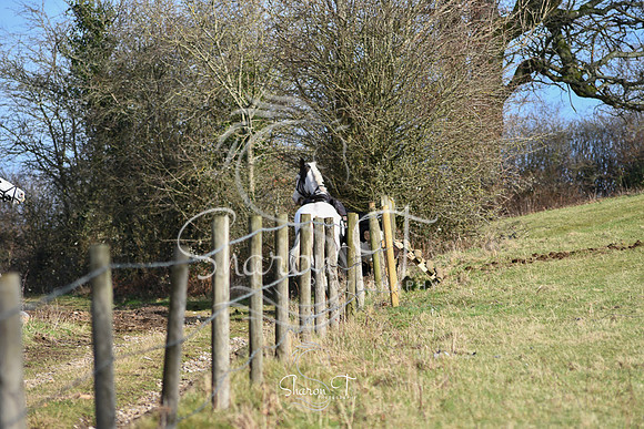 DSC_0887