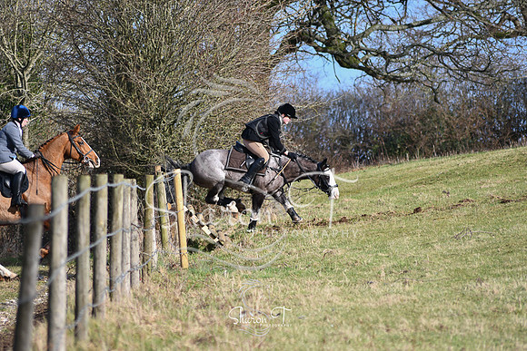 DSC_0795