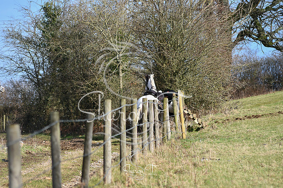 DSC_0886