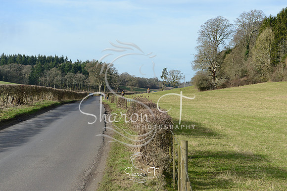 DSC_1912