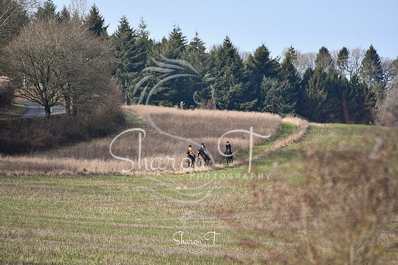 DSC_0694