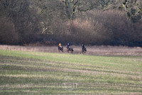 DSC_0695