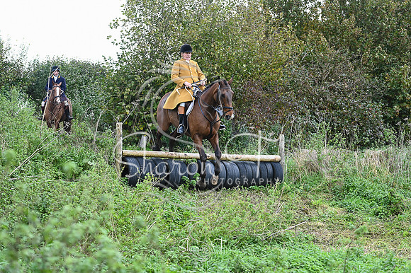 STP_6953