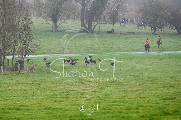 STP_3910