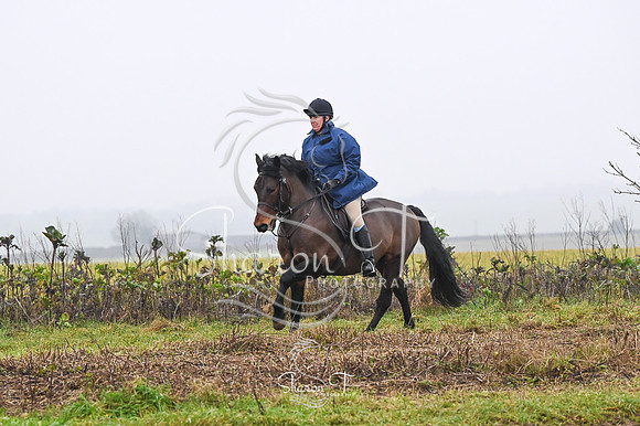 STP_4150