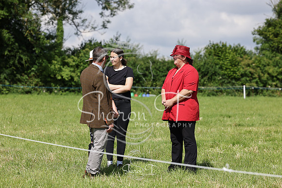 102837-IMG_2489