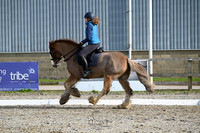 Dressage - Group 2