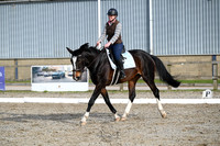Dressage - Group 3
