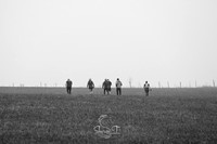 STP_6597