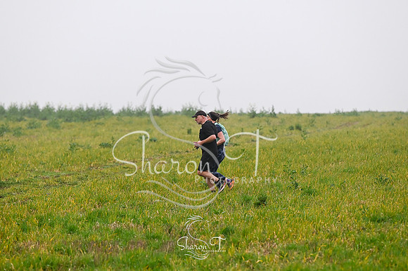 STP_6982