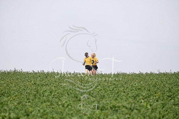 STP_7593