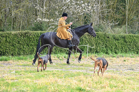 STP_7875