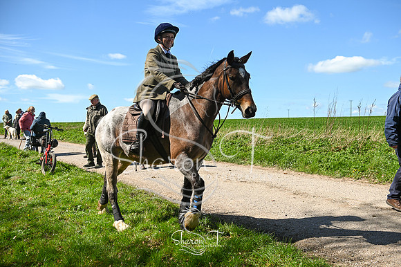 DSC_4702