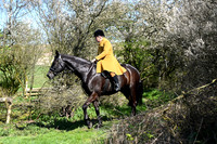 STP_9120
