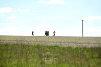 STP_9266