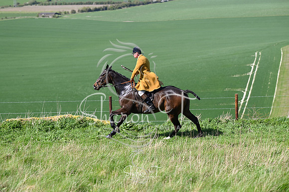 STP_9294